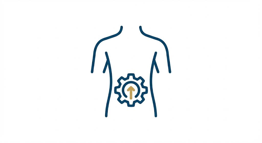 Emagrecimento e Metabolismo